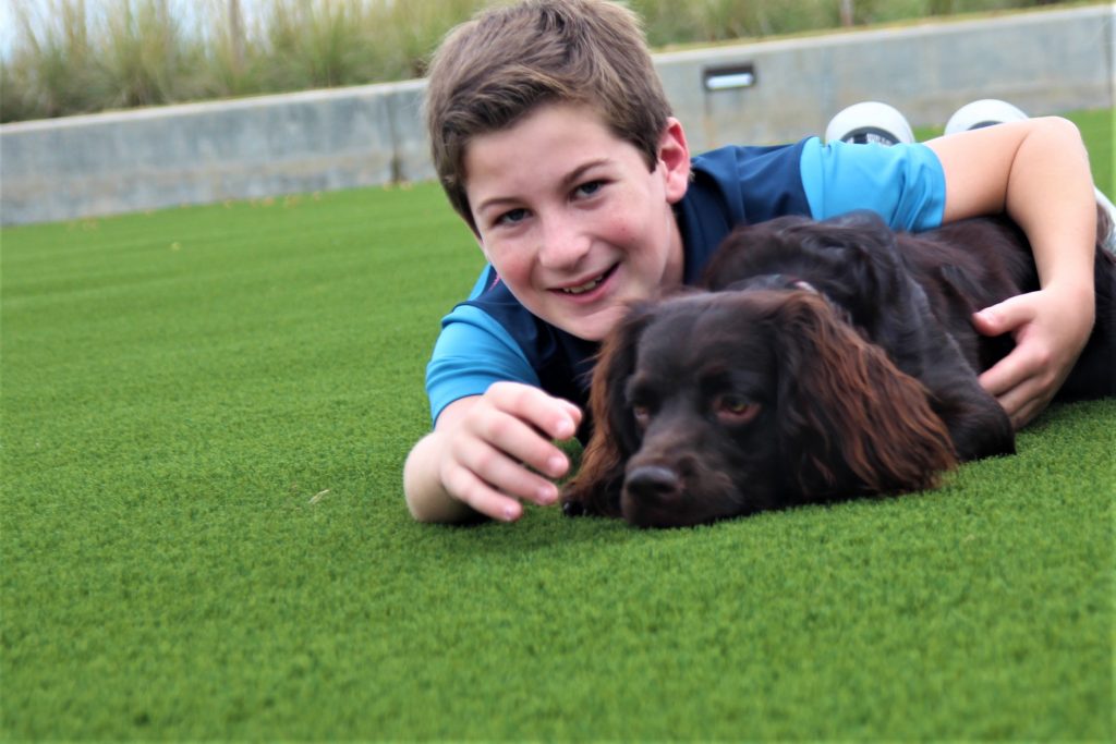 Child playing with dog on artificial grass
