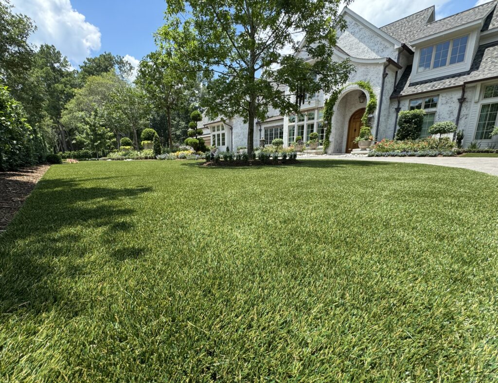 Synthetic lawn