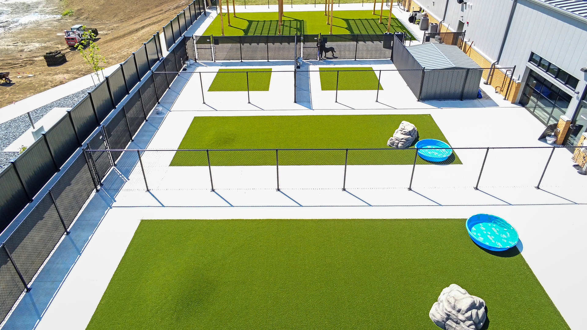 Indiana Doggie Daycare with SYNLawn Artificial Pet Turf